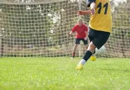 年山东省青,少年篮球训,练营完美落,奇异果体育平台,奇异果体育官方网站,奇异果体育登录入口,奇异果体育app下载