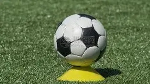 奇异果体育 产品 111039 y6a