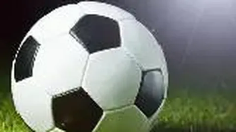 奇异果体育 产品 111113 dww