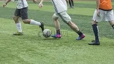 奇异果体育 产品 111745 txr