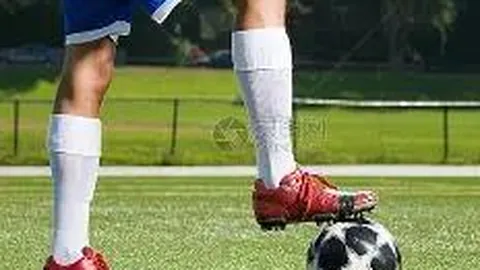 奇异果体育 资讯 110835 n1p