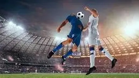 奇异果体育 产品 111409 mls