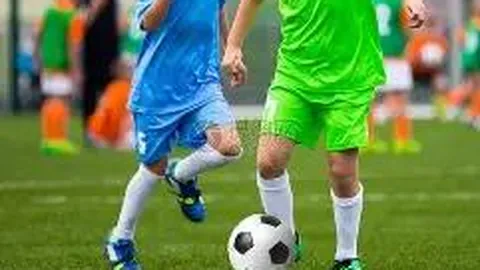 守护榆林：田间餐桌防线坚实构建