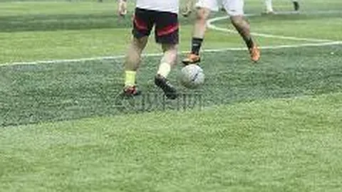 奇异果体育 产品 092555 erg