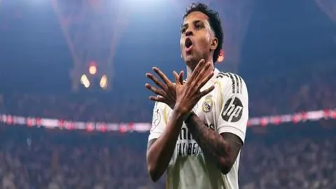 奇异果体育 产品 093443 bgv